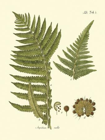 Art Print, , small