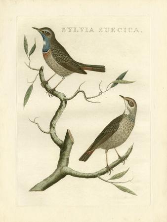 Art Print, , small
