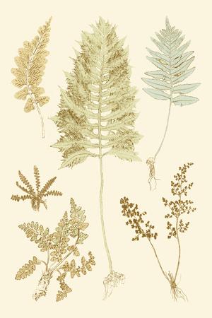 Art Print, , small