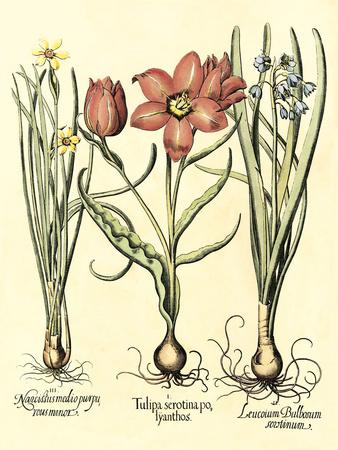 Art Print, , small