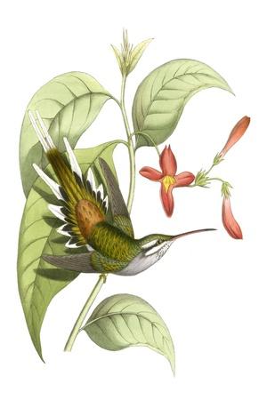 Art Print, , small