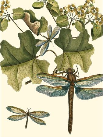 Art Print, , small