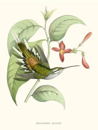 Art Print, , small