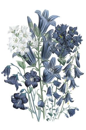 Art Print, , small