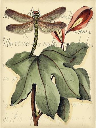 Art Print, , small