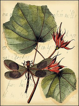 Art Print, , small
