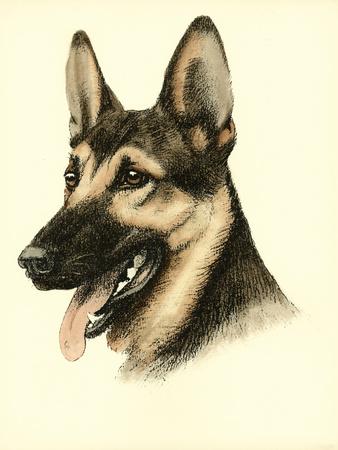 Art Print, , small
