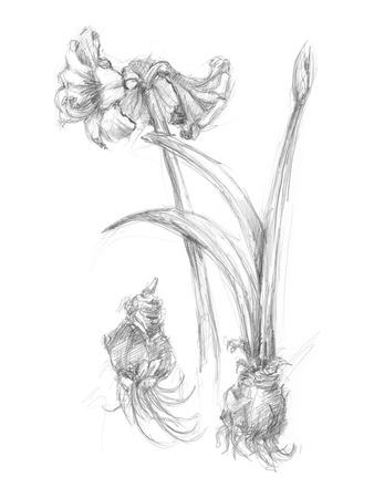Art Print, , small
