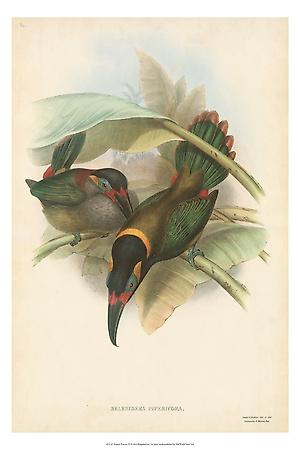 Art Print, , small