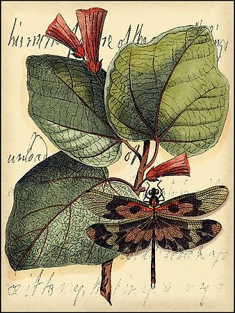 Art Print, , small