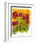 Poppy Whimsy VIII-Cheryl Baynes-Framed Art Print