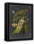 Midnight Botanical II-Vision Studio-Framed Stretched Canvas