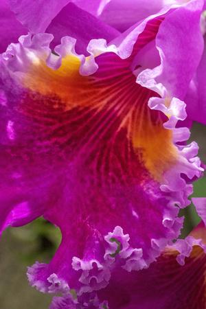 Photographic Print, , small