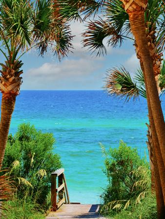 Photographic Print, , small