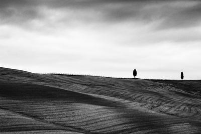 Photographic Print, , small