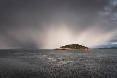 Photographic Print, , small