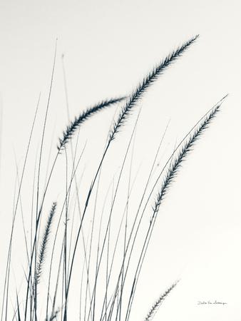 Photographic Print, , small