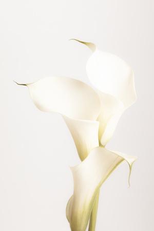 Photographic Print, , small
