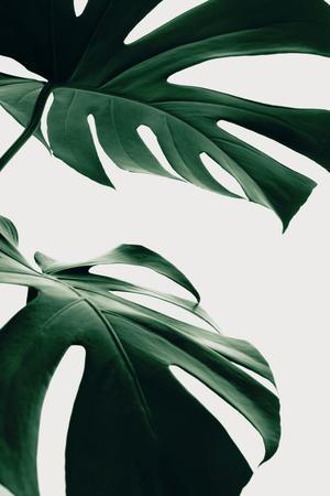 Photographic Print, , small
