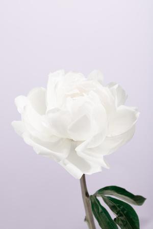 Photographic Print, , small