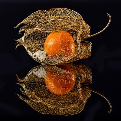 Photographic Print, , small