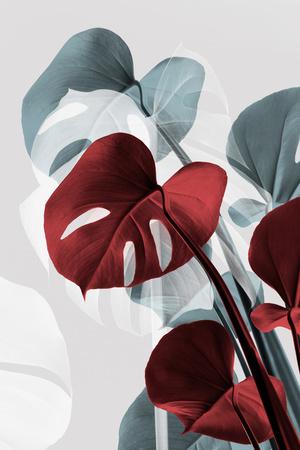 Photographic Print, , small
