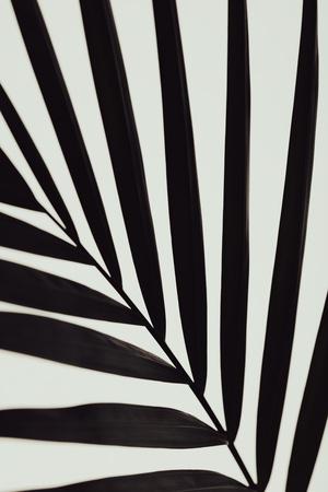 Photographic Print, , small