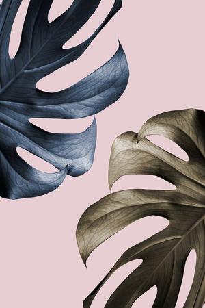 Photographic Print, , small