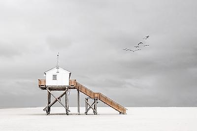 Photographic Print, , small