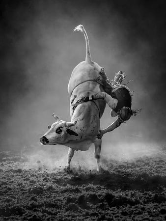Photographic Print, , small