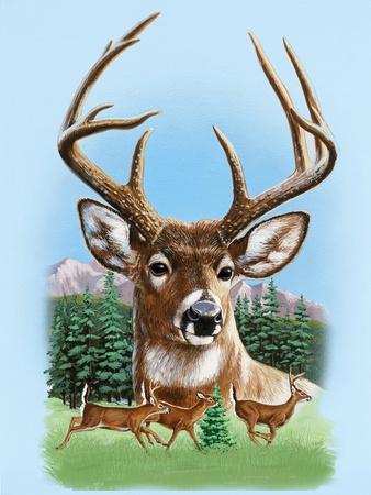 Giclee Print, , small