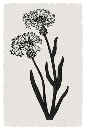 Art Print, , small