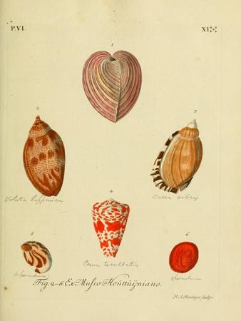 Photographic Print, , small