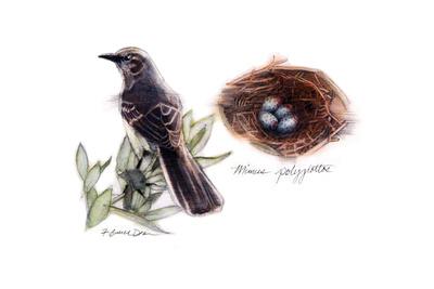 Art Print, , small