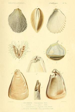 Photographic Print, , small