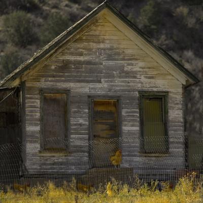 Photographic Print, , small