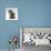 Domestic Cat, 10-Week, Grey Tabby Persian-Cross Kitten-Jane Burton-Photographic Print displayed on a wall