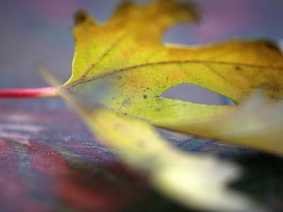 Photo, , small