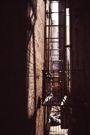 Photographic Print, , small