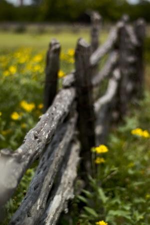 Photographic Print, , small