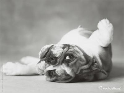 Art Print, , small