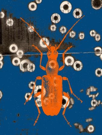 Art Print, , small