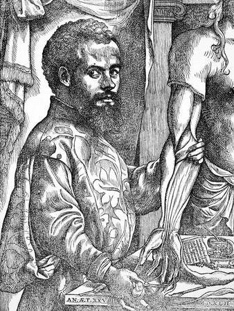 Photographic Print, , small