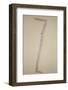 Pion-muon-electron (pi-mu-e) Decay Chain-C. Powell-Framed Photographic Print