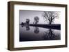 Foggy Morn BW-Steve Gadomski-Framed Photographic Print