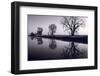 Foggy Morn BW-Steve Gadomski-Framed Photographic Print