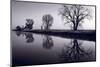 Foggy Morn BW-Steve Gadomski-Mounted Photographic Print