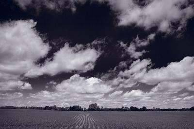 Photographic Print, , small