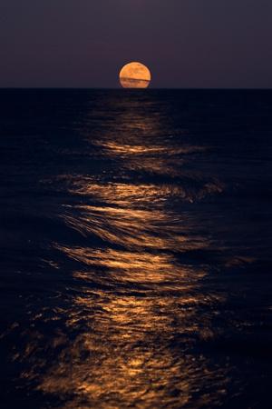 Photographic Print, , small