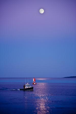 Photographic Print, , small